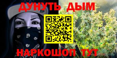ECSTASY Обь