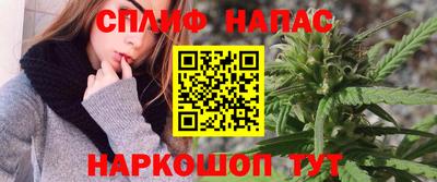 ECSTASY Обь