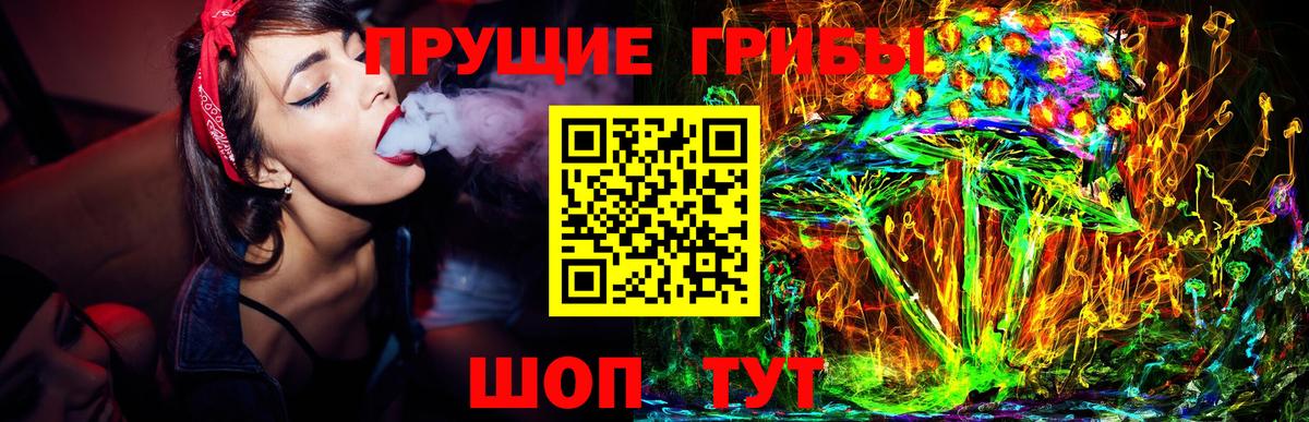 продажа наркотиков  Вход с VPN  Ржев  Псилоцибиновые грибы Cubensis 